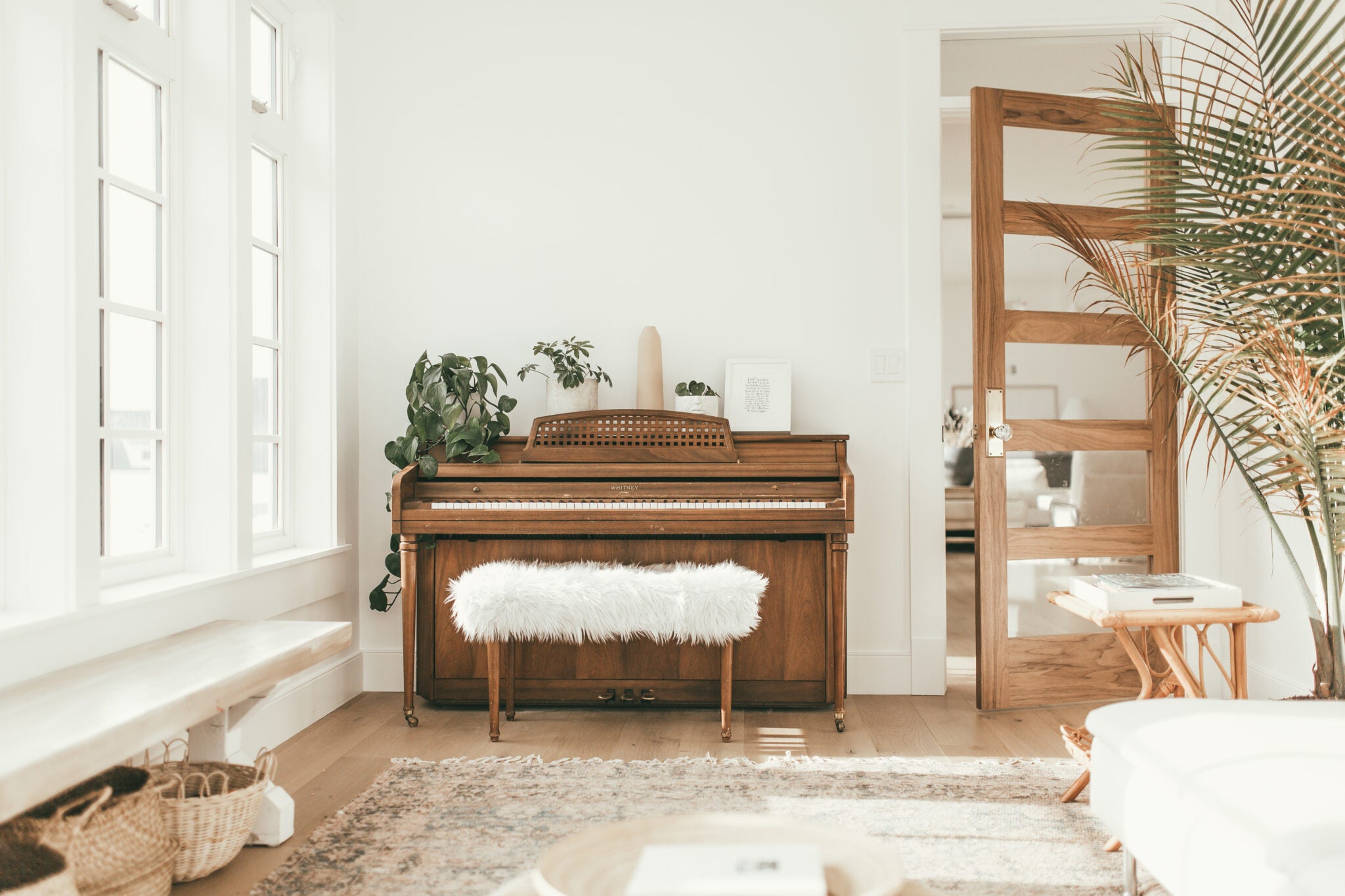 Entrance & Interior Doors in the Bay Area | Modé Concept